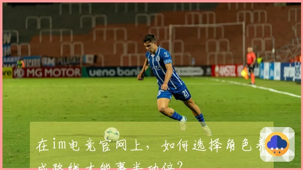 在im电竞官网上，如何选择角色养成路线才能事半功倍？